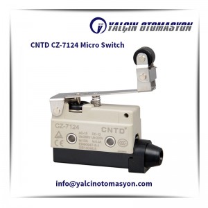 CNTD CZ-7124 Micro Switch