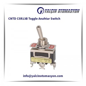 CNTD C5R13B Toggle Anahtar Switch