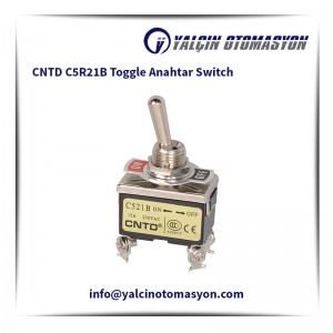 CNTD C5R21B Toggle Anahtar Switch