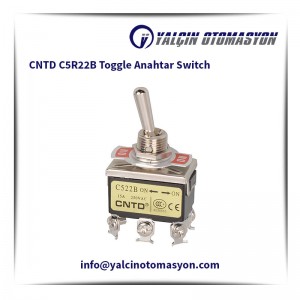 CNTD C5R22B Toggle Anahtar Switch
